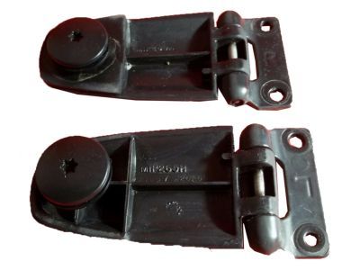 Lincoln 1L1Z-78420A68-AA Hinge