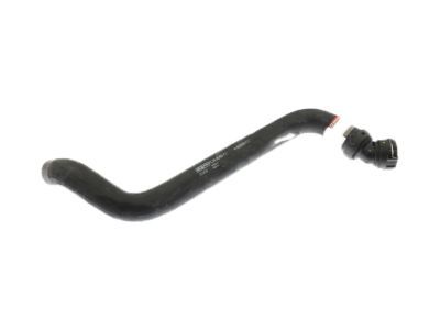 2016 Ford F-150 Radiator Hose - FL3Z-8260-C