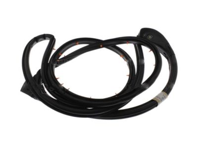 Ford Explorer Sport Trac Weather Strip - 8A2Z-7825324-A