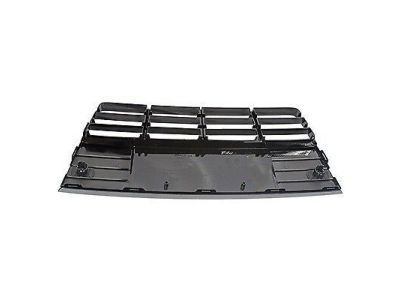 Ford CP9Z-17K945-JA Lower Grille