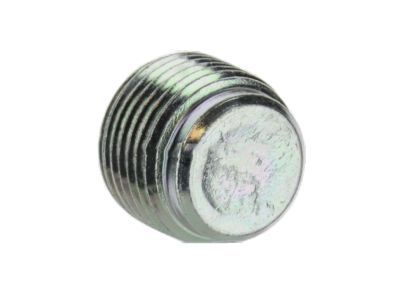 Lincoln -W700251-S437 Plug