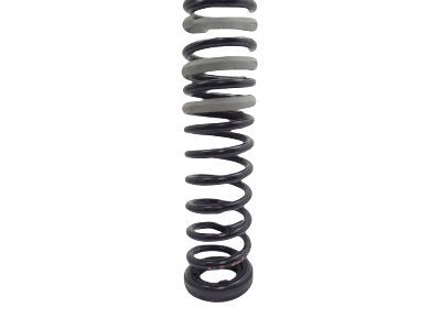 Ford CV6Z-5560-E Spring