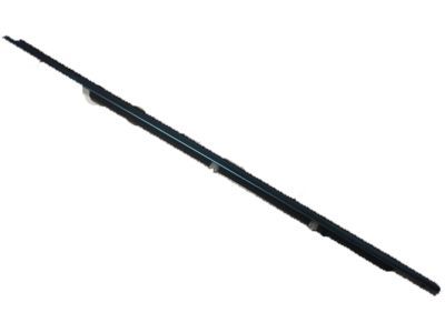 Ford AG1Z-5421453-A Belt Weatherstrip