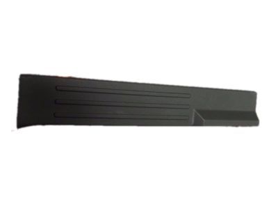 Ford BL1Z-7813208-AC Front Sill Plate