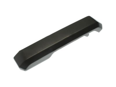 Ford FL3Z-16275A19-CA Armrest Cover