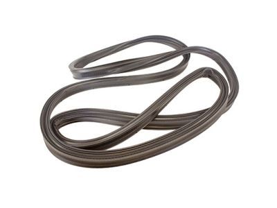 Lincoln 3W1Z-5443720-AA Weatherstrip