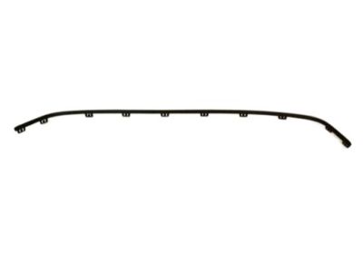 Ford DS7Z-8419-CA Lower Molding