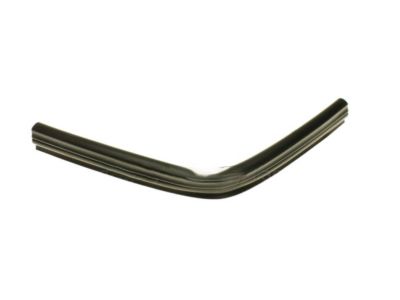 Ford CT4Z-16A239-A Side Seal