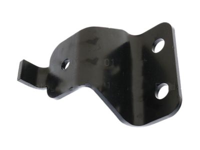 Ford HL3Z-6G079-C Front Plate Bracket