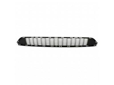 Ford FT4Z-17K945-AA Bumper Grille