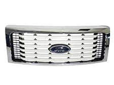 Ford BL3Z-8200-DPTM Grille