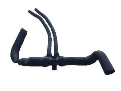 Ford F81Z-8286-AD Lower Hose