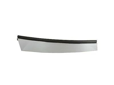 Lincoln Town Car Door Moldings - 4W1Z-54255A35-AAA