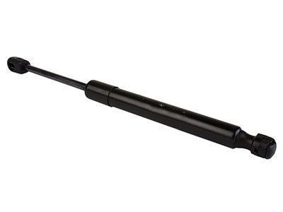 Ford Thunderbird Lift Support - 1W6Z-16C826-BA