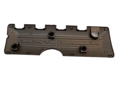 Ford BR3Z-6P067-E Outer Cover