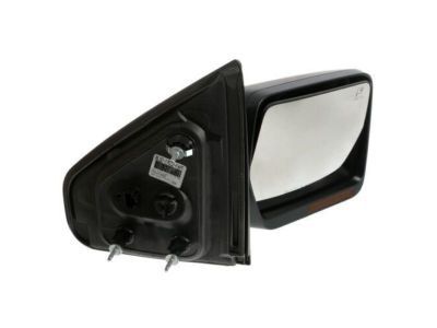 Ford BL3Z-17682-FAPTM Mirror