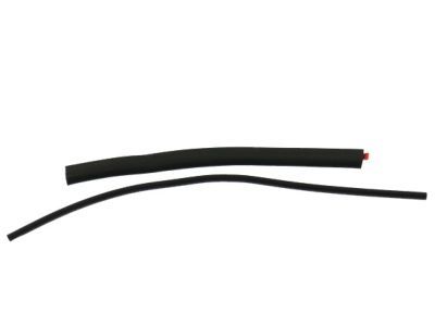 Ford AL3Z-15262A80-A Weatherstrip Assy - Sliding Glass