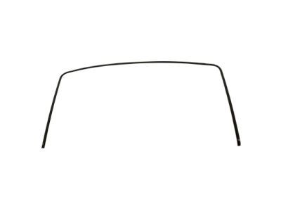 Ford 2C5Z-7803144-AA Moulding - Windshield