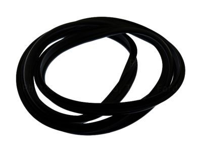 Lincoln Door Seal - DP5Z-5443720-B