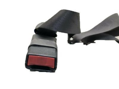 Ford 1L3Z-15612B19-AAB Center Seat Belt