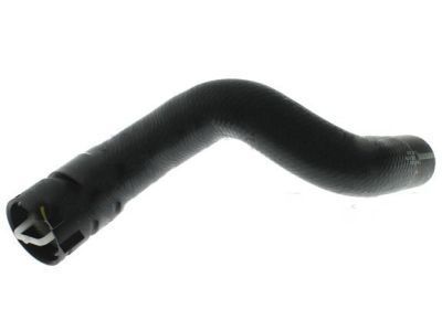 Lincoln F2GZ-8286-A Lower Hose