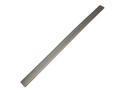 Ford 8S4Z-6313209-AA Sill Plate