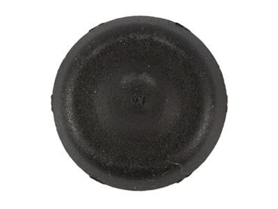 Lincoln -W714032-S300 Plug