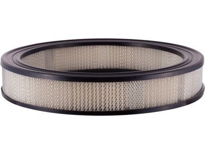 Ford D3ZZ-9601-AR Air Filter