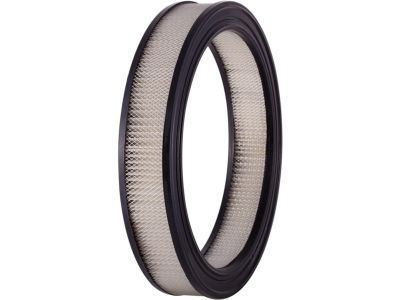 Mercury D3ZZ-9601-AR Air Filter