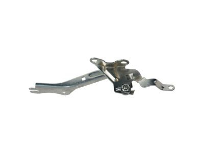 Mercury 6E5Z-16796-A Hinge