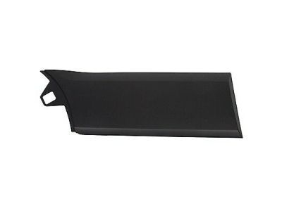 Ford BK3Z-6129396-BA Side Molding