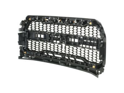 Ford HL3Z-8200-BB Grille