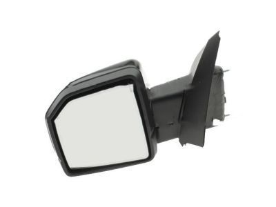 Ford FL3Z-17683-SCPTM Mirror Assembly