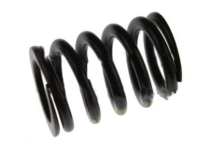 Ford 2L2Z-6513-AA Valve Springs