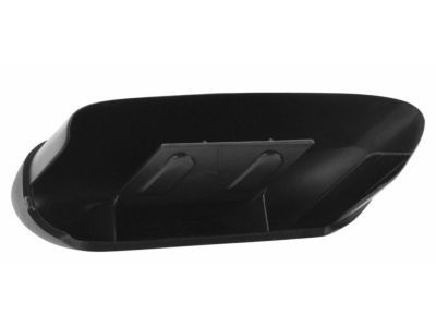 Ford 4L3Z-16A454-BA Step Cover