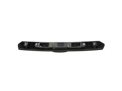 Ford 9E5Z-5442512-AAPTM License Molding