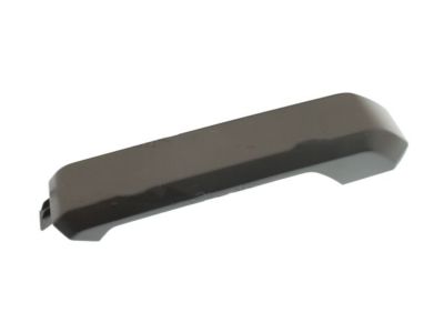 Ford FL3Z-1822642-CA Armrest Cover