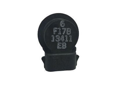 Lincoln F1TZ-13411-E Socket