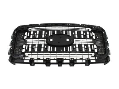 Ford BC3Z-8A284-DA Center Grille