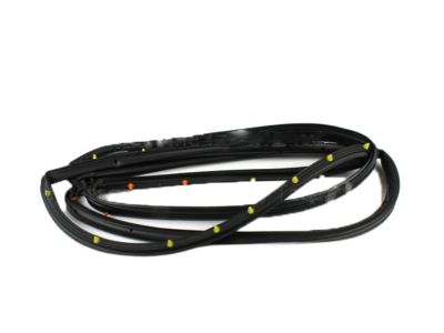 Lincoln 6E5Z-5425324-AA Door Weatherstrip