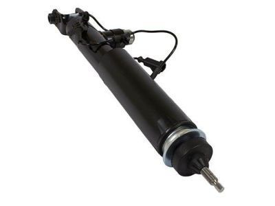 Ford DE9Z-18125-B Shock Absorber Assembly