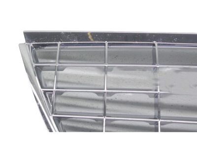 Ford 3L2Z-8200-BA Grille