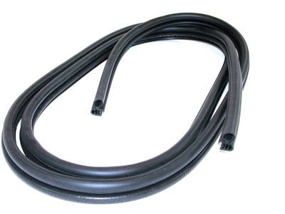 2001 Mercury Mountaineer Weather Strip - F1TZ-7820708-C