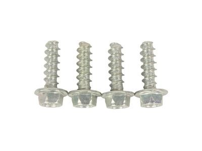 Lincoln -W507043-S437 Mount Bracket Screw