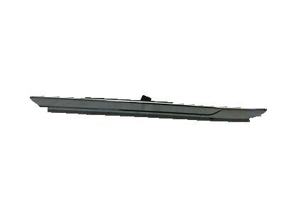 Ford JB5Z-17C830-AC MOULDING - BUMPER BAR