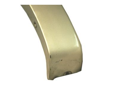 Ford 6L2Z-16039-CAPTM Wheel Opening Molding