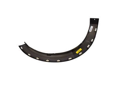 Ford 6L2Z-16039-CAPTM Wheel Opening Molding