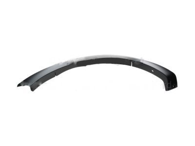 Ford 6L2Z-16039-CAPTM Wheel Opening Molding