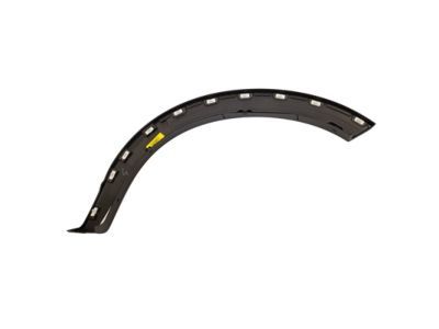 Ford 6L2Z-16039-CAPTM Wheel Opening Molding