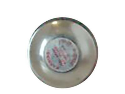 Mercury F8XZ-9030-AA Filler Cap